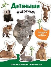 ЭНЦИКЛОПЕДИЯ ЖИВОТНЫХ С НАКЛ. Детеныши животных