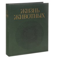 Жизнь животных. В 7 томах. Том 1. Простейшие. Пластинчатые. Губки. Кишечнополостные. Гребневики. Плоские черви. Немертины. Круглые черви. Кольчатые черви. Щупальцевые