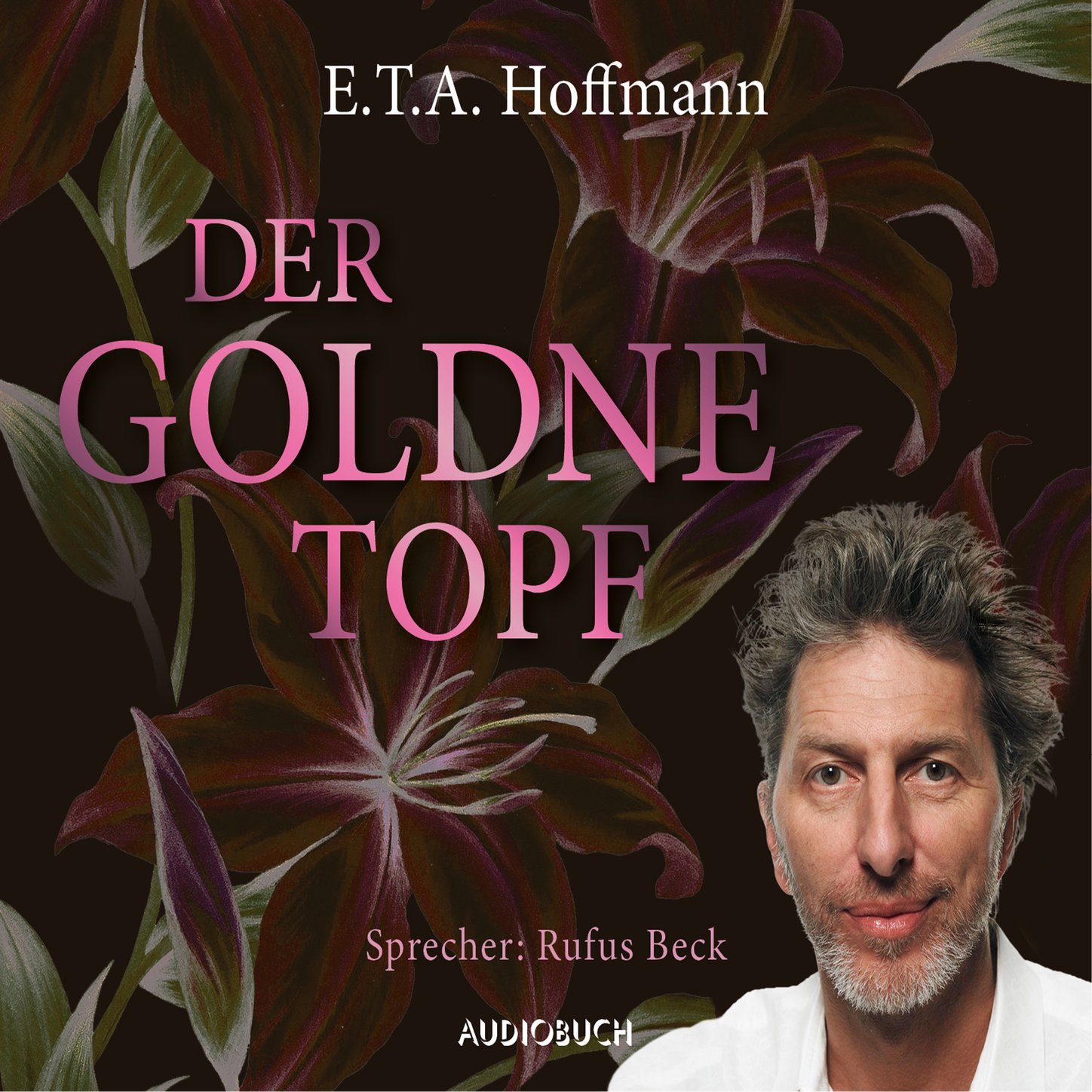 Der goldne Topf (Ungekürzt)