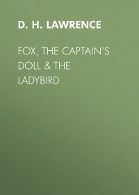 Fox, The Captain's Doll &amp; The Ladybird