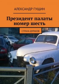 Президент палаты номер шесть. Страна дураков