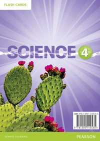 Big Science: Level 4: Flashcards (DVD)