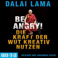 Be Angry - Die Kraft der Wut kreativ nutzen (Ungekürzt)