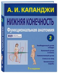 Нижняя конечность: Функциональная анатомия (обновленное издание)