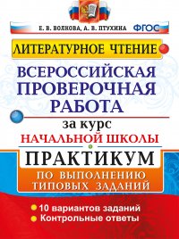 Литературное чтение. ВПР за курс начальной школы. Практикум по выполнению типовых заданий