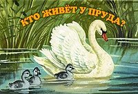 Кто живет у пруда? Книжка-панорамка