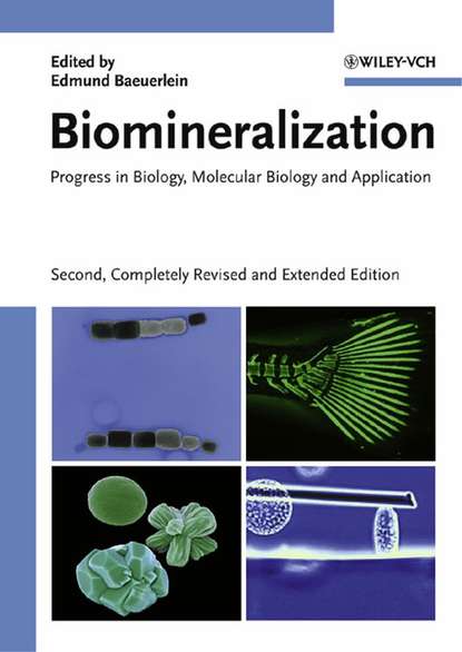 Biomineralization