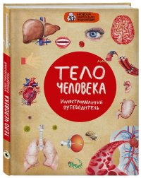 Тело человека