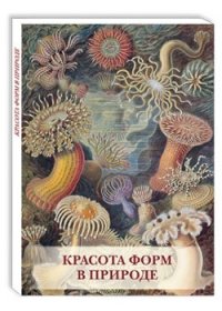 Набор открыток Открытки Красота форм в природе