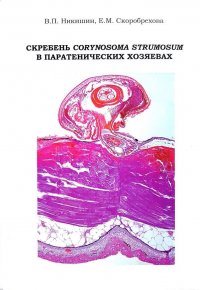 Скребень Corynosoma strumosum в паратенических хозяевах: Взаимоотношения на организменном уровне в природе и эксперименте