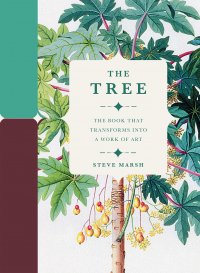 Steve Marsh - «The Tree»