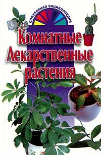 Комнатные лекарственные растения