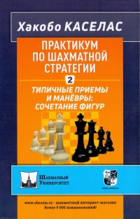 Хакобо Каселас - «Практикум по шахматной стратегии 2. Типичные приемы и маневры: сочетание фигур»