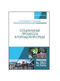 Социальные процессы в городской среде. Монография