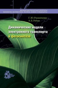 Г. Ю. Ризниченко - «Динамические модели электронного транспорта в фотосинтезе»