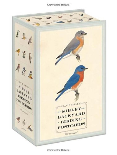 Sibley Backyard Birding Postcards: 100 Postcards