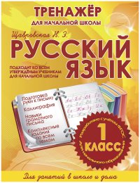 Русский язык 1 класс. Тренажер для начальной школы