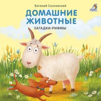 Домашние животные. Загадки-рифмы. Книжка - картонка