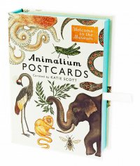 Jenny Broom - «Animalium Postcards»