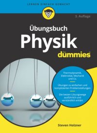 Übungsbuch Physik für Dummies