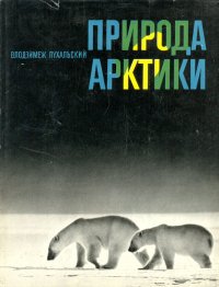 Природа Арктики