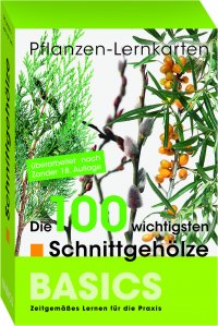 BASICS. Die 100 wichtigsten Schnittgeholze