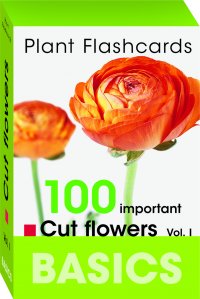 BASICS. 100 Important Cut Flowers. Vol I