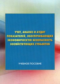 Учет, анализ и аудит показателей, обеспечивающих экономическую безопасность хозяйствующих субъектов. Учебное пособие