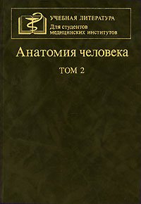 Анатомия человека. В 2 томах. Том 2