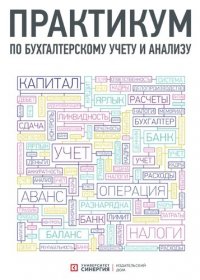 Практикум по бухгалтерскому учету и анализу. 4-е изд., перераб. и доп