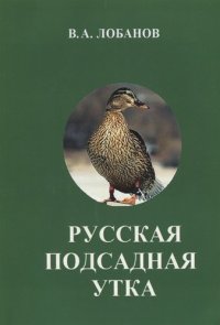 Русская подсадная утка (м) Лобанов