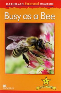 Busy as a Bee / Level 1+