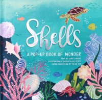 Shells: A Pop-up Book of Wonder - Ракушки. Книга-панорама