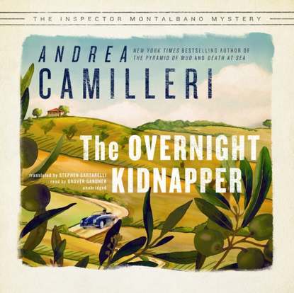 Overnight Kidnapper