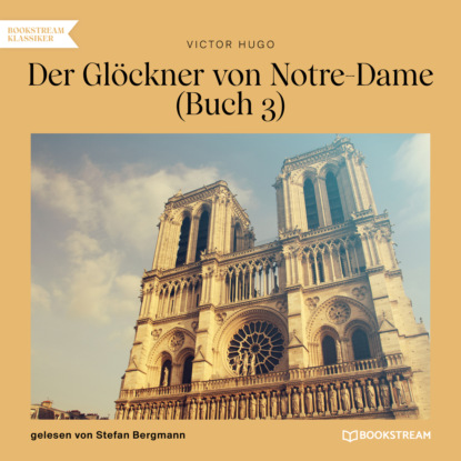 Victor Hugo - «Der Glöckner von Notre-Dame, Buch 3 (Ungekürzt)»