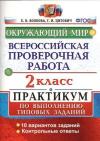 Всероссийская проверочная работа.Окружающий мир. Практикум. 2 класс. ФГОС