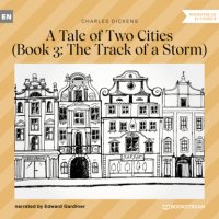 The Track of a Storm - A Tale of Two Cities, Book 3 (Unabridged)