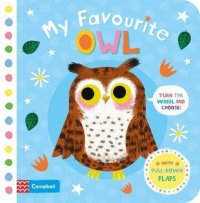 My Favourite Owl