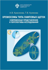 Т. В. Куликова, А. В. Красикова - «Хромосомы типа ламповых щеток»