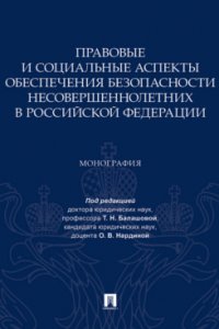 Правовые и социальные аспекты обеспечения безопасности несовершеннолетних в Российской Федерации