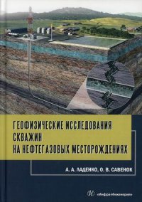 Геофизические исследования скважин на нефтегазовых месторождениях. Учебное пособие