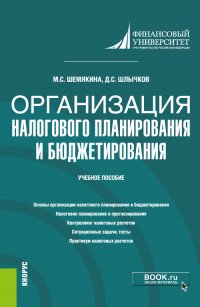 Организация налогового планирования и бюджетирования. Учебное пособие