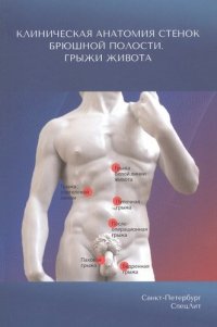 Клиническая анатомия стенок брюшной полости.Грыжи живота