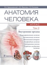 Анатомия человека. Атлас в 3-х томах. Том 2. Внутренние органы