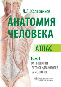 Анатомия человека. Атлас в 3-х томах. Том 1. Остеология, артросиндесмология, миология