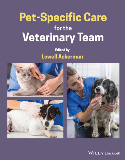 Pet-Specific Care for the Veterinary Team