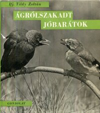 Agrolszakadt Jobaratok