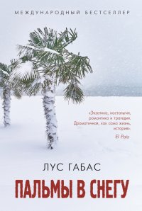 Пальмы в снегу