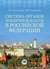 Система органов публичной власти в Российской Федерации