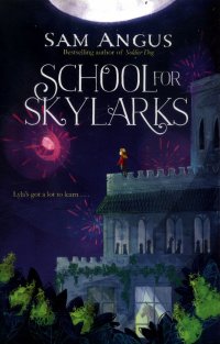 School for skylarks (Школа для жаворонков)